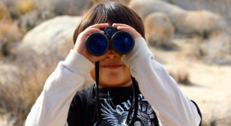 Observación de aves, Birding