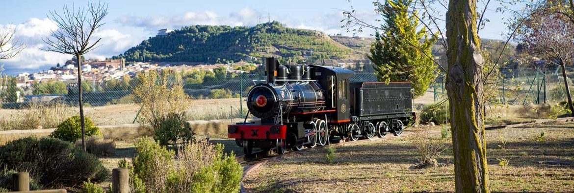 ACTIVIDADES MINERAS Y PASEOS EN LOCOMOTORA